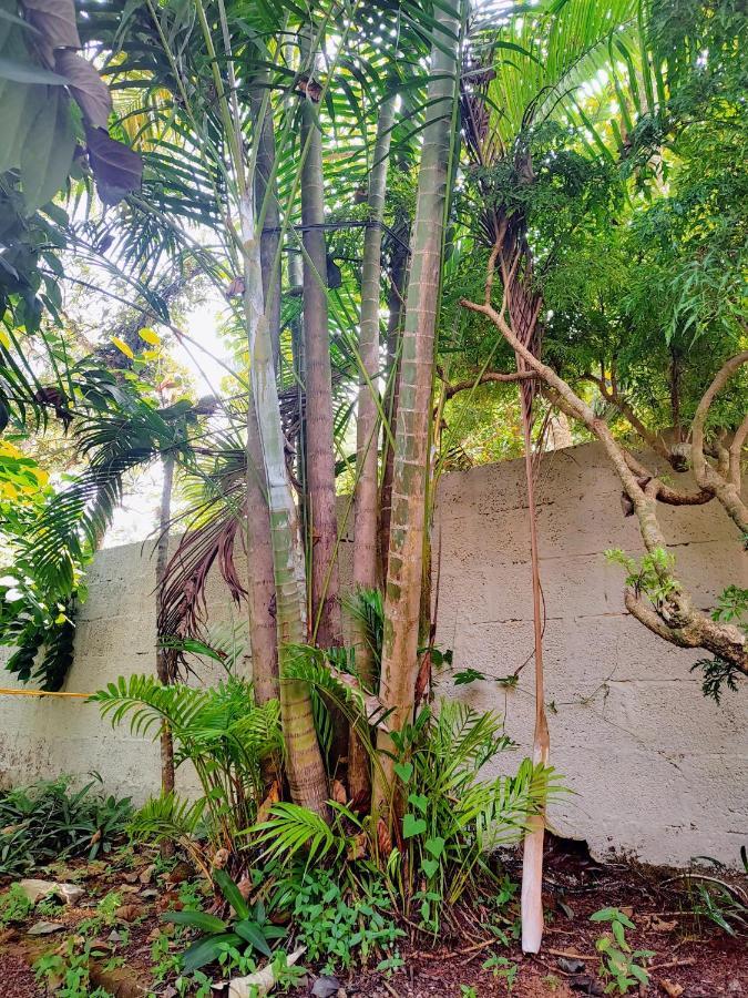 Gogonuts Hostel Varkala Exteriör bild